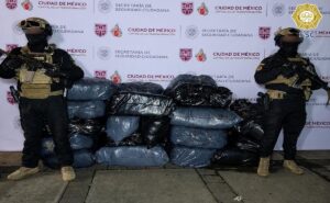 Aseguran media tonelada de marihuana en cateo en la GAM