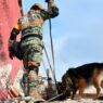 Binomios caninos mexicanos en Venezuela apoyan rescates tras sismos