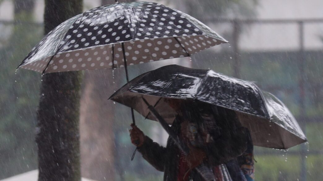 Clima y música hoy 3 de agosto: lluvias y calor en el país