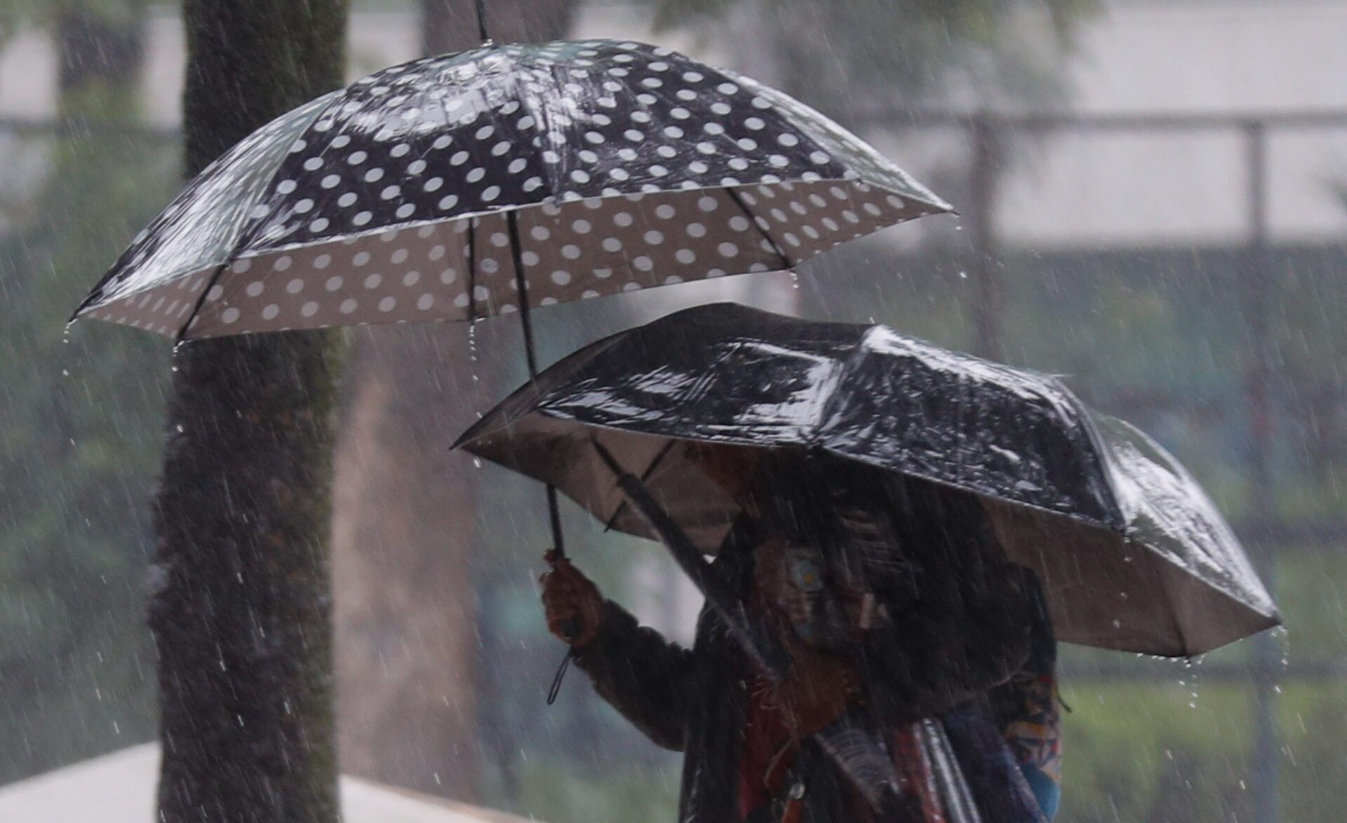 Este 3 de agosto, las lluvias persistirán en todo el país, te contamos cómo afecta el clima a la música.