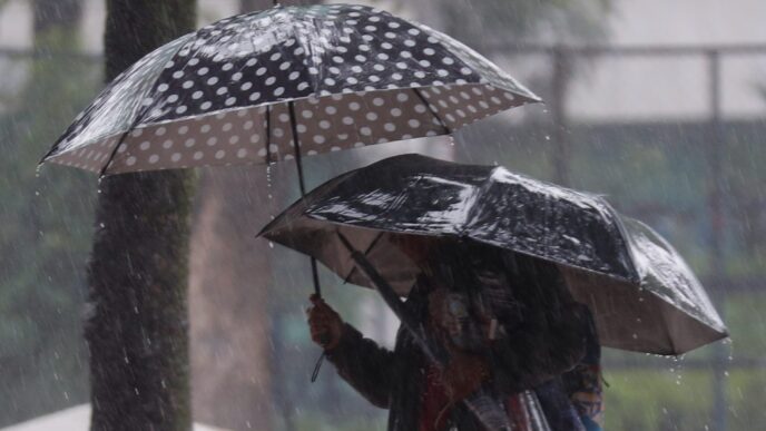 Clima y música hoy 3 de agosto: lluvias y calor en el país