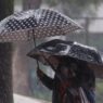 Clima y música hoy 3 de agosto: lluvias y calor en el país