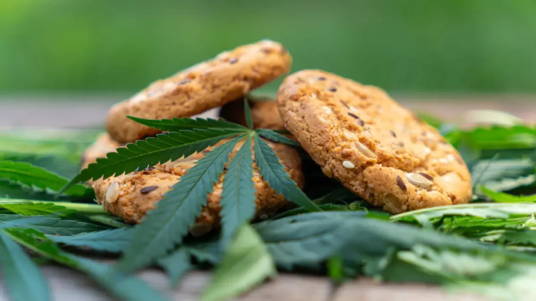 La Suprema Corte autoriza el uso de cannabis en alimentos recreativos