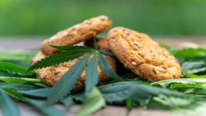 La Suprema Corte autoriza el uso de cannabis en alimentos recreativos