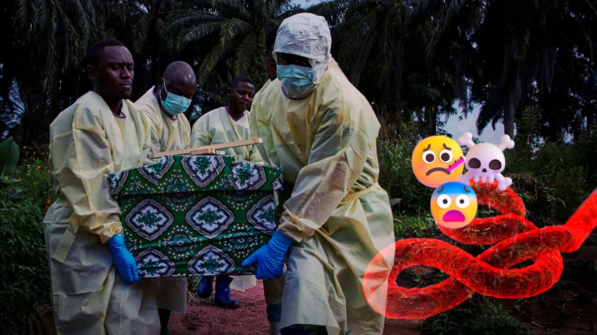 Un nuevo brote de ébola ha dejado más de 10 mil casos y 5 mil muertes en varios países, incluyendo Francia.
