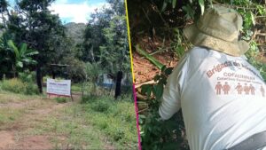 Descubren un centro de exterminio en Xalisco, Nayarit vinculados al reclutamiento de menores