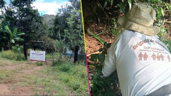 Descubren un centro de exterminio en Xalisco, Nayarit vinculados al reclutamiento de menores